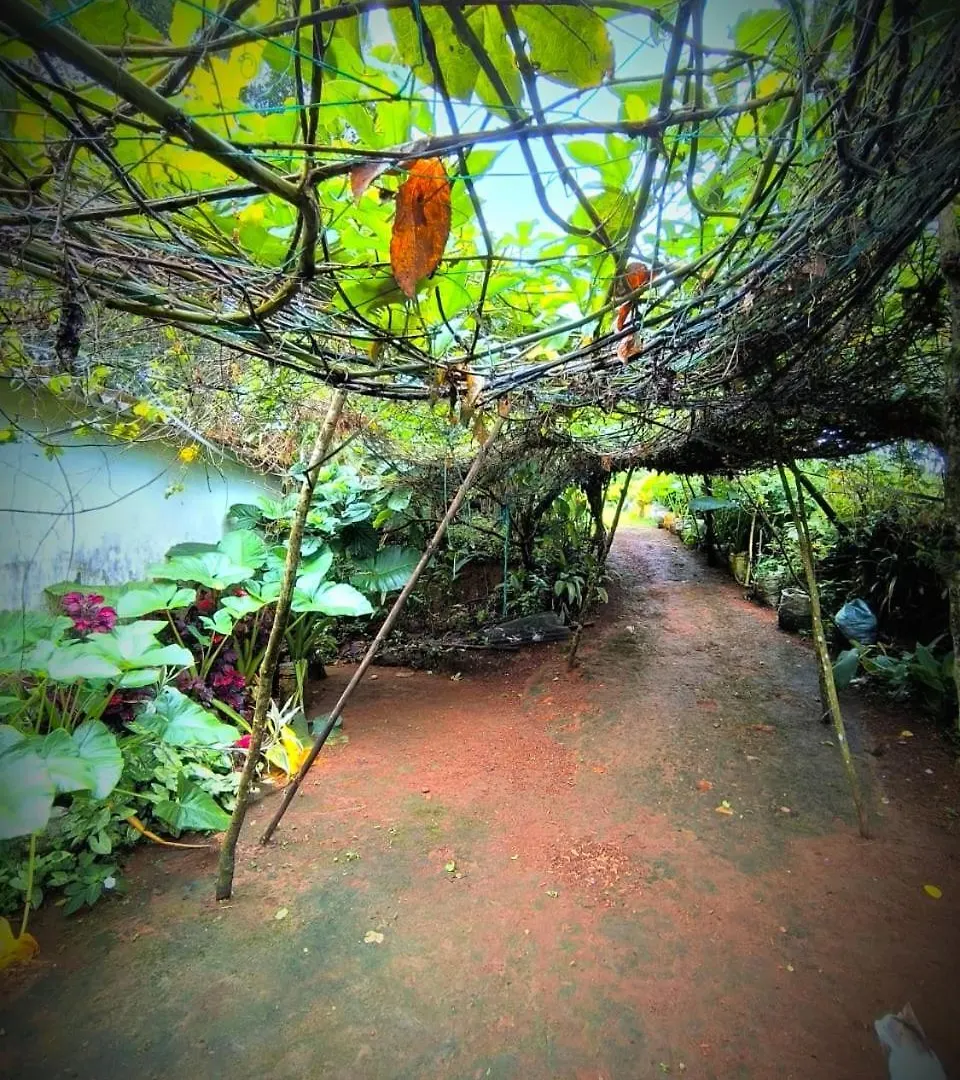 Private Cottage Idukki 0*,  India